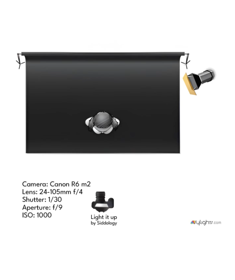 On-Camera Flash and Backlight Portrait — lighting diagram