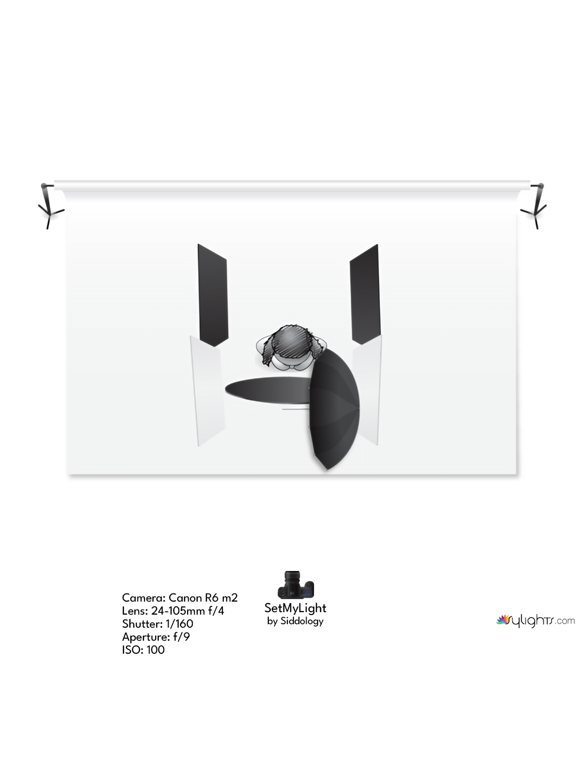 Elegant Overhead Light Portrait with Veil — lighting diagram