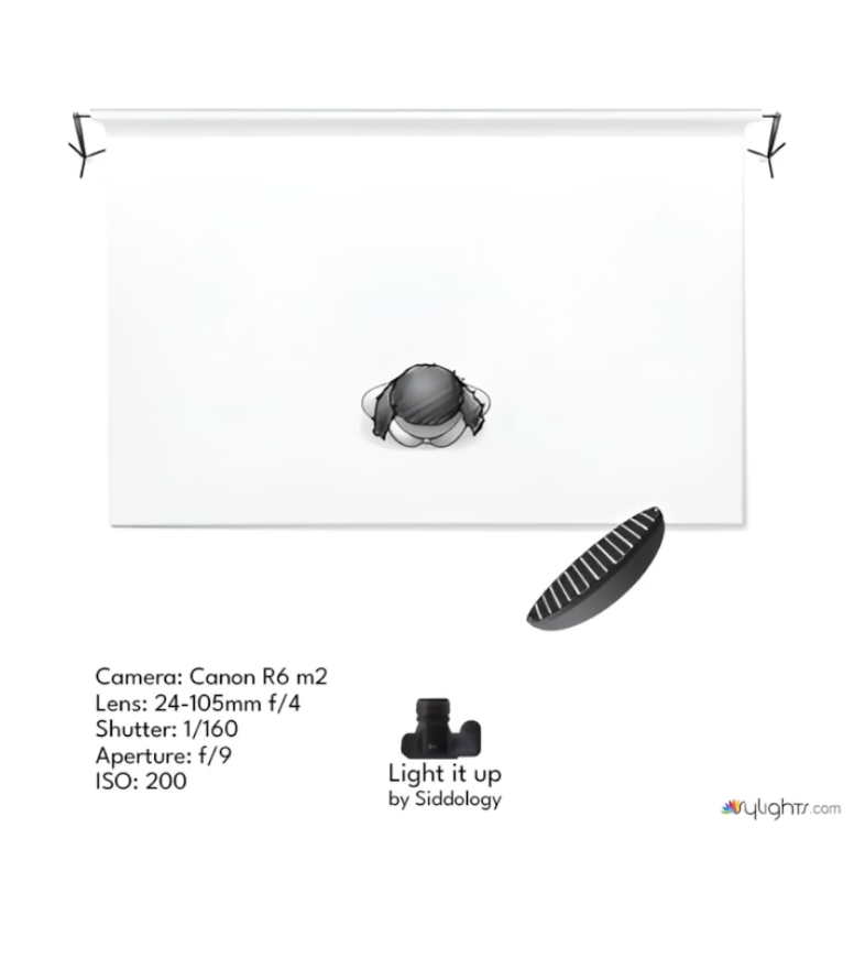 Beauty Dish Portrait with Clean Background — lighting diagram