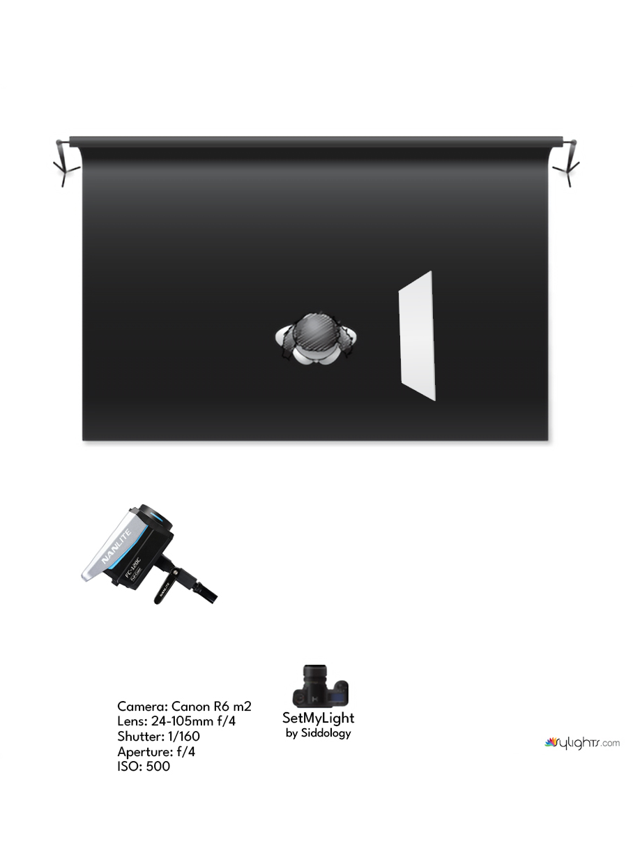 Dramatic Portrait with Projected Leaf Shadows — lighting diagram